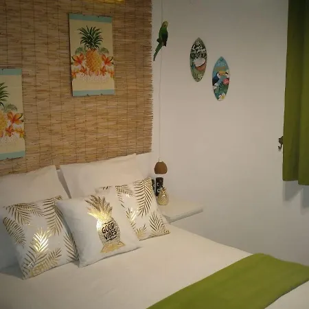 Wonder 2* Nerja